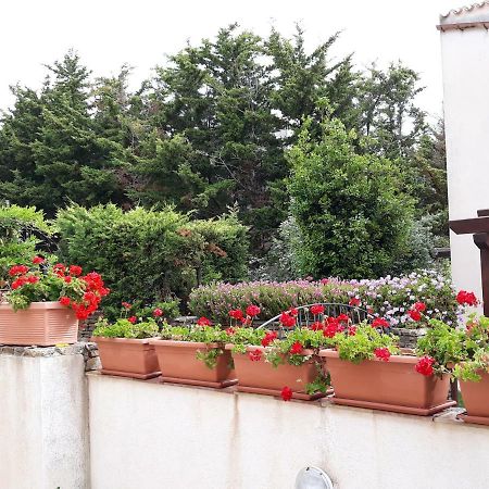 Apartamento Villino Messina San Vito Lo Capo Exterior foto