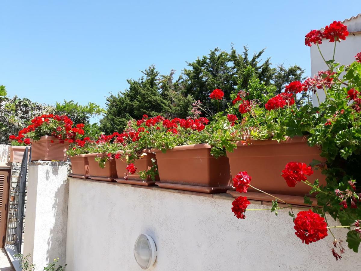 Apartamento Villino Messina San Vito Lo Capo Exterior foto